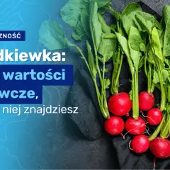 Rzodkiewka ile kalorii - poznaj zaskakujące wartości odżywcze