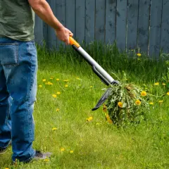 Jak skutecznie pozbyć się płożących chwastów na trawniku?