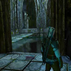 Geralt stoi przed tronem w zrujnowanej komnacie, rozwiązując zagadkę o dima. Woda zalewa podłogę, a roślinność oplata kamienne kolumny.