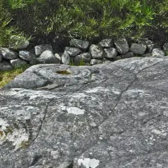 Petroglifos galicia: grabados circulares y espirales en roca gris, rodeados de hierba y un muro de piedra.