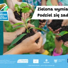 Rada osiedla: Jak realnie wpływać na swoją okolicę?