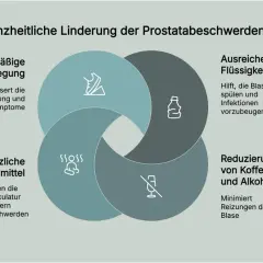 Rezeptfreie Prostata Medikamente: Natürliche Alternativen für BPH-Symptome