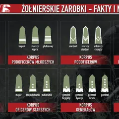 Grafika pokazuje stopnie wojskowe i korpusy, od szeregowego do Marszałka Polski. Dowiedz się, ile zarabia kapral w wojsku.