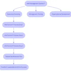 Flowchart of MAP Management System™ outlining Executive Coaching, Management Training, and Organizational Development as pathways to a Tailored Development Plan and ultimately, Transform Leadership and Drive Success. This is a CEO training program.