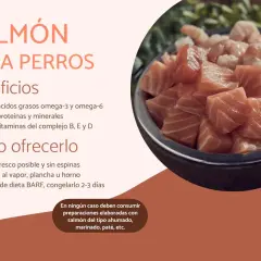 Un tazón lleno de trozos de salmón fresco y camarones. Los perros pueden comer salmón, es rico en nutrientes y beneficioso para su salud.