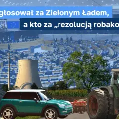 Kto głosował za zielonym ładem? Oto pełna lista europosłów