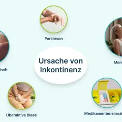 Ursachen von Inkontinenz: Schwangerschaft, Parkinson, Menopause, überaktive Blase, Medikamenteneinnahme.