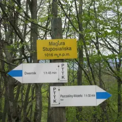 Co oznaczają szlaki górskie i jak je rozpoznać w terenie
