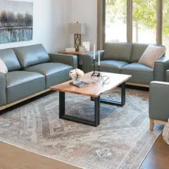 A modern living room with grey leather sofas, a live-edge coffee table, and a Persian-style rug, perfect for a furniture style guide.