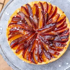 Ein köstlicher Zwetschgenkuchen auf Hefeteig, mit saftigen Pflaumenstücken und einem glänzenden Zuckerguss, verlockend präsentiert.