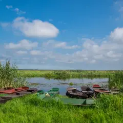 Łodzie czekają na wodniaków na malowniczych bagna biebrzańskie.