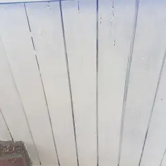 Vitmålad träpanel som takfot, redo för ett nytt lager färg.