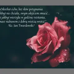 Róża z kroplami rosy, czarny symbol żałoby i cytat o śmierci przyjaciela: „Odeszłaś cicho, bez słów pożegnania...”.