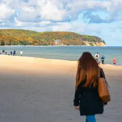 Jesień na nadmorskiej trasie spacerowej z Gdyni do Sopotu. Ludzie spacerują po piaszczystej plaży, podziwiając kolorowe drzewa na klifie.