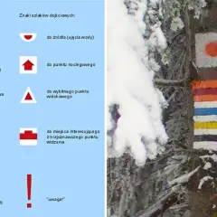 Kolorowe znaki szlaków turystycznych namalowane na drzewie w zimowej scenerii.