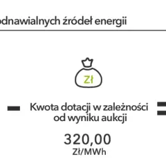 Aukcje OZE: Jak działają i jak wygrać? Przewodnik eksperta.
