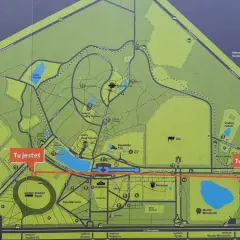 Mapa Parku Śląskiego z zaznaczonymi atrakcjami: zoo, planetarium, rosarium, skansen. Wskazuje drogę do zwiedzania.