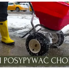 Co zamiast soli na chodnik? Ekologiczne alternatywy, które działają