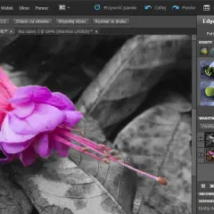Jak zrobić czarno białe zdjęcie w Photoshop i uzyskać niesamowity efekt