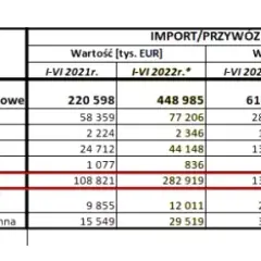 Import pelletu z Ukrainy: Poradnik, koszty i ryzyka