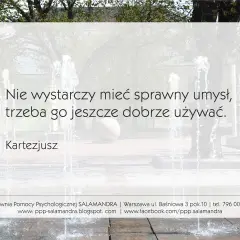 Cytat Kartezjusza: "Nie wystarczy mieć sprawny umysł, trzeba go jeszcze dobrze używać." Woda tryska z fontanny.