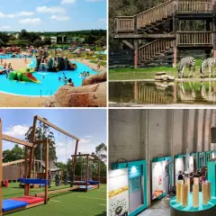 Actividades para que ver en Galicia con niños: parque acuático, zoo, parque de aventuras y museo interactivo.