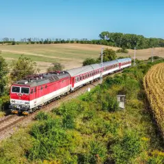 Czerwono-biały pociąg słowacki mija pole kukurydzy i zielone wzgórza w słoneczny dzień.