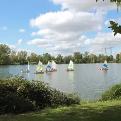 Plusieurs voiliers naviguent sur un lac paisible, un paysage typique du lac autour de Toulouse par une journée ensoleillée.