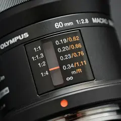 Obiektyw makro co to? Poznaj jego zalety i zastosowania w fotografii