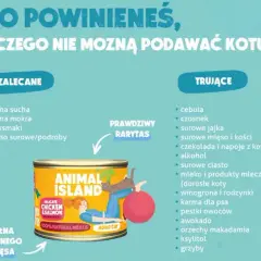 Surowe mięso dla kota: Jak karmić, by było zdrowo i bezpiecznie?
