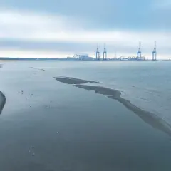 Plaża i morze z widocznym odpływem. W oddali port z dźwigami.