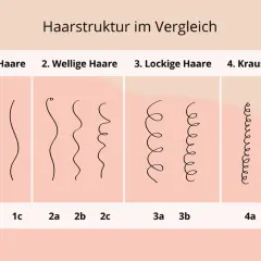 Vergleich von Haartypen: glatt, wellig, lockig und kraus. Hilft, den eigenen haartyp bestimmen.
