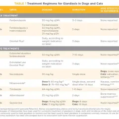 Tabela leczenia giardiozy u psów i kotów: leki, dawki, czas trwania i skutki uboczne.