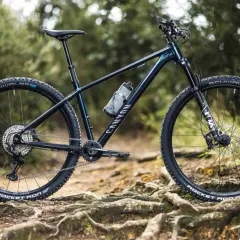 A dark blue Canyon 29er bike with Schwalbe tires rests on a root-covered trail, ready for adventure.