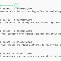An SRT file displays timed text for videos. This example shows timestamps and dialogue for a marketing tutorial, covering audience identification, platform selection, and success measurement.