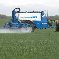 Traktor z opryskiwaczem NAPA na polu zboża, aplikujący mikroelementy dla zdrowego wzrostu roślin.