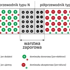 Schemat budowy diody prostowniczej: półprzewodnik typu N z dodatnimi jonami i domieszką donorową, półprzewodnik typu P z ujemnymi jonami i domieszką akceptorową, oraz warstwa zaporowa.