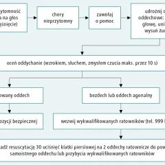 BLS: Ratuj życie! Algorytm, prawo i kursy pełny przewodnik