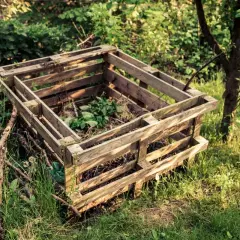 Ekologiczne grządki z palet w ogrodzie. Kompostownik z drewna, otoczony zielenią i drzewami, tworzy naturalne środowisko.
