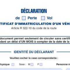 Déclaration de perte de certificat d'immatriculation d'un véhicule. Ce document permet de circuler un mois.