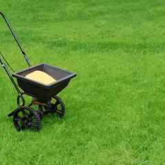 Jaki nawóz na trawnik jesienią wybrać, by uniknąć błędów i przygotować trawę na zimę?