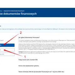 Zgłaszanie sprawozdań finansowych online. Zaloguj się lub załóż konto, by przesłać dokumenty.