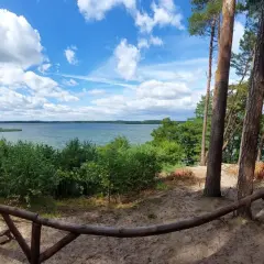 Malownicza trasa w Borach Tucholskich. Widok na jezioro z piaszczystego wzgórza otoczonego sosnami.