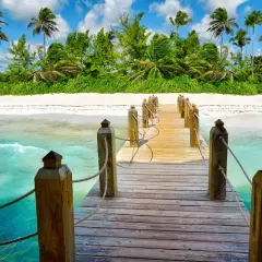 Drewniany pomost prowadzi do rajskiej plaży z palmami. Idealne miejsce na odkrywanie atrakcji Punta Cana.