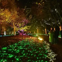 Un paseo nocturno entre luces de navidad, árboles iluminados y conos blancos que parecen nevados.