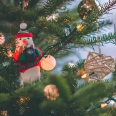 Ile można zarobić na choinkach? Poznaj realne zyski i możliwości