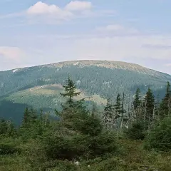 Widok na Śnieżnik, najwyższy szczyt Masywu Śnieżnika. Góry porośnięte lasem świerkowym, z widocznymi polanami i niebem z chmurami.