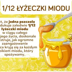 Ciekawostki o pszczołach dla dzieci: jedna pszczoła produkuje tylko 1/12 łyżeczki miodu przez całe życie! To pokazuje, jak ciężko pracują.