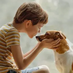 Jaki pies dla dzieci? Wybierz idealnego przyjaciela rodziny!