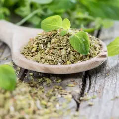 Ein Holzlöffel voller getrocknetem Oregano, daneben frische Blätter. Perfekt für die Küche, ob frisch oder getrocknet, Oregano verfeinert jedes Gericht.